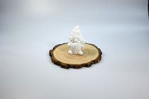 Gnomos
